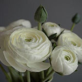 Ranunculus bouquet for home decoration. Flowers for a vase. Real touch flowers