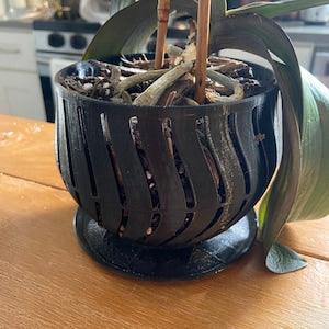 Orchid Pot