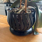 Orchid Pot