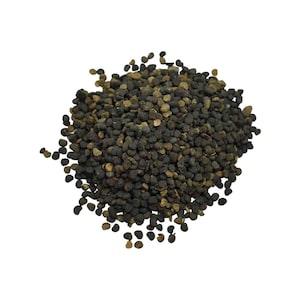 Datura Flower Seed - Dhatura Beej - Beej Dhatura - Purple Angels Trumpet Moonflower Seed