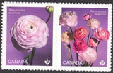 2023 Canada SC# Flowers - Ranunculus - pair from booklets - M-NH -1