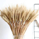 Natural Wheat Rice Opening Barley Real Dried Flower Bouquets Dry Branch Crafts