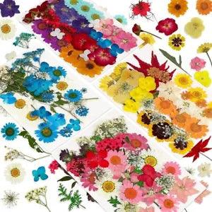 144PCS Natural Dried Pressed Flowers for Resin,Dry Flower Bulk Natural3101