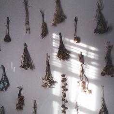 DIY Ombre Dried Flower Wall Flower Delivery
