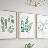Eucalyptus Watercolor Plant Art Print, Set of 3 Prints, Nursery Botanical Wall Art, Gift for her, women, Nature painting, Plant lover gift.