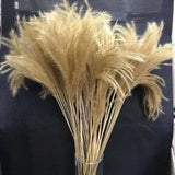 Dried Small Pampas Grass Bouquet - DIY Dry Flowers  Bulrush Pampasowa Home Decor