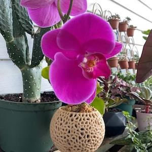 Orchid Flower Pot With Original Design Built-In Humidity Saucer