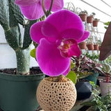 Orchid Flower Pot With Original Design Built-In Humidity Saucer