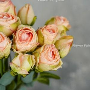 10 Stems Dried Look Rose Bouquet in Long Stem | High Quality Artificial Flower | Wedding/Occasion/Home Decoration | Gifts - Light Pink