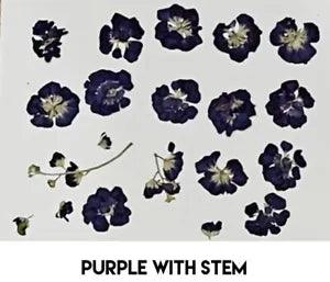 Real Pressed Purple Flowers And Stems For DIY Crafts | Candles | Soap | Framing