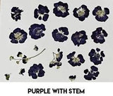 Real Pressed Purple Flowers And Stems For DIY Crafts | Candles | Soap | Framing