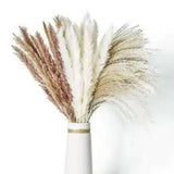 100 Pcs Pampas Grass Natural Dried Reed Flower Bunch Home Wedding Decor Bouquets