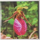 Pink Lady Slipper  | Ceramic tile