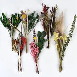 Christmas Dried Flower Plant Aromatherapy Rattan Reed Flower Diffuser Home Decor