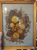 vintage dried pressed flowers collarge flower taxidermy  framed art