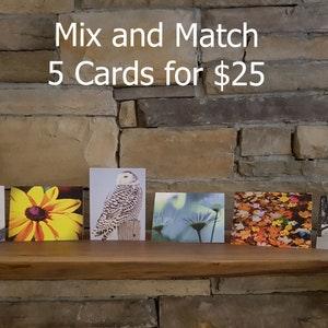 Folded Photo Cards - 5.5"x4" - Cards are blank on the inside.  Pick any 5 - Folded cards, Mix and Match Greeting Cards, Wildlife, Nature