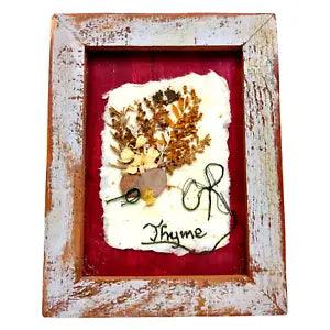 Vintage Dried Pressed Thyme by FlowerCrafters Wood Frame Handmade Wall Decor