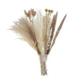 30x Dried Pampas Grass Bunch Bouquet Phragmites Reed Flower for Table