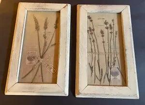 Framed Artist Pair Of  PRINTS Pressed Herbs Flowers Botanicals