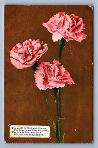 Postcard Vtg Romance The World Is Filled With Flowers Love Carnation