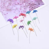 24pcs Pressed flowers with Stem Nature Real dried Flower for DIY Wedding...