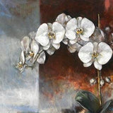 Original Oil Painting, Still life, Realism, Floral, White Orchid, 20