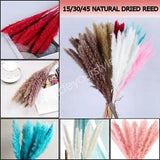 15/30/45PCS Natural Dried Flowers Pampas Grass Reed Bunch Bouquet Party Decor