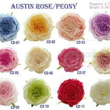 Austin Rose Peony Flower Head Artificial Rose, Artificial Silk Flower DIY Wedding Bouquets Centerpieces, Flower Wall Pannel,Multicolor