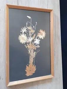 Vintage Dried Flowers Framed Herbarium 1984