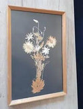 Vintage Dried Flowers Framed Herbarium 1984