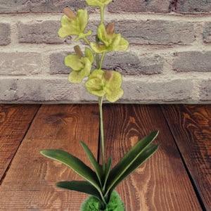 SALE! Vintage Latex artificial Vanda Orchid plant W/O pot with a touch of GREEN