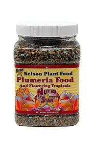 Nelson Plumeria Plants All Flowering Tropicals Foods Ferns Orchids Lilys 2 Lb