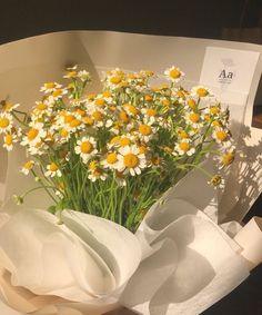 Deleted World Flower Delivery