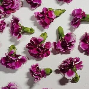 10pcs Dried Rose Carnations, Dried Flowers, Wife, Bridesmaid, Decor, Birthday, Wedding, Crafts, Arts, Anniversary, Love, Mini, Pink Rose