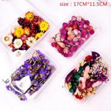 1 Box Real Dried Flower Dry Plants For Aromatherapy Candle Making Accessor G* SZ