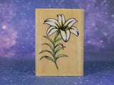 LILY, Single Flower, Wood Mounted Rubber Stamp, Inkadinkado  95063K