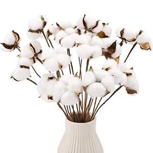 20pcs Cotton Stems, Fake Cotton Flowers Dried Cotton Picks Stalks Plants,
