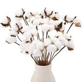 20pcs Cotton Stems, Fake Cotton Flowers Dried Cotton Picks Stalks Plants,
