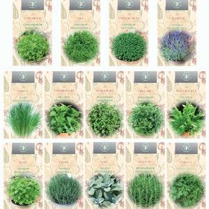 Grow Your Own Herbs: 14 High Quality & Germination Seed Varieties for Indoor Kitchen Gardening