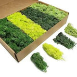 100/200g Artificial Green Plants Eternal Life Moss Grass Home Living Room Garden