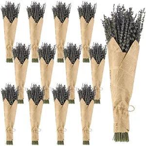 12 Pack Dried Lavender Bundle Organic Lavender Flowers Bulk Decor Natural Dri...