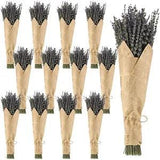 12 Pack Dried Lavender Bundle Organic Lavender Flowers Bulk Decor Natural Dri...