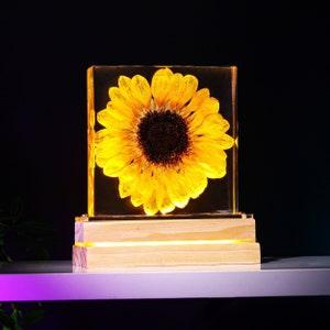 Real Sunflower Night Light, Sunflower Paperweight, Sunflower Decor Night light, Friend Gifts, Vintage decor 2023 , Unique decor 2023, Gift