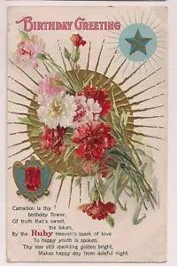 Red white Pink Carnations Birthday Ruby  Floral Flowers Postcard