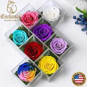 Real Preserved Forever Rose in Acrylic Box Table D???cor Flower Mother??s Day Gift