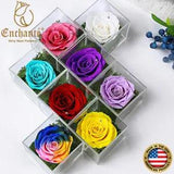 Real Preserved Forever Rose in Acrylic Box Table D???cor Flower Mother??s Day Gift