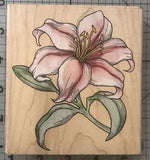 Large Lily w/ Leaves & Stalk Rubber Stampede Stamp Botanical Flower Detailed