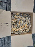 400+ Milkweed Pods, Empty, Dried for Arts, Crafts, Wreaths,  unsorted Box D