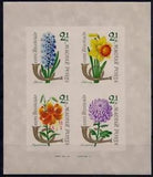 Hungary 1963 Flowers Tiger Lily Hyacinth Narcissus Chrysanthemum m/s Imperf MNH