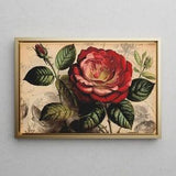Old-World Rose Bouquet for Mother's Day-Soft Colors, Unique Vintage Botanical Wall Art for her on Mother's Day - Flowers without allergies!